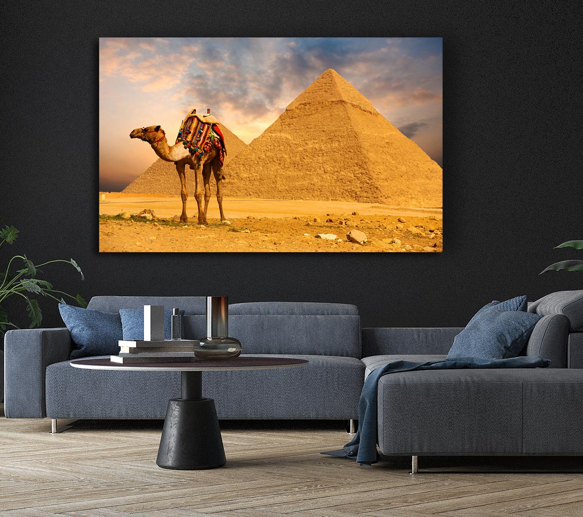 Camel Pyramids