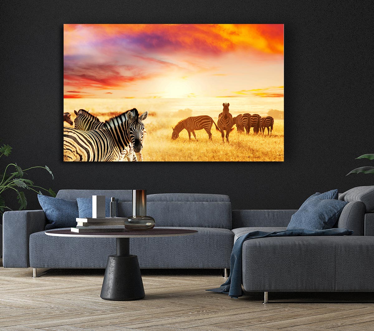 Zebra Sunset Safari