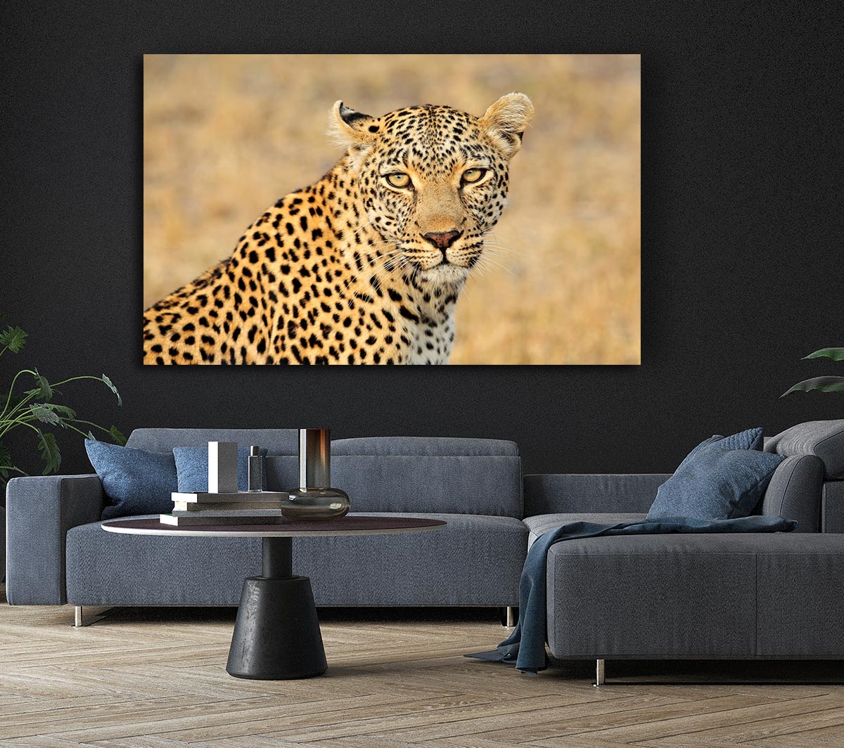 Stunning Leopard