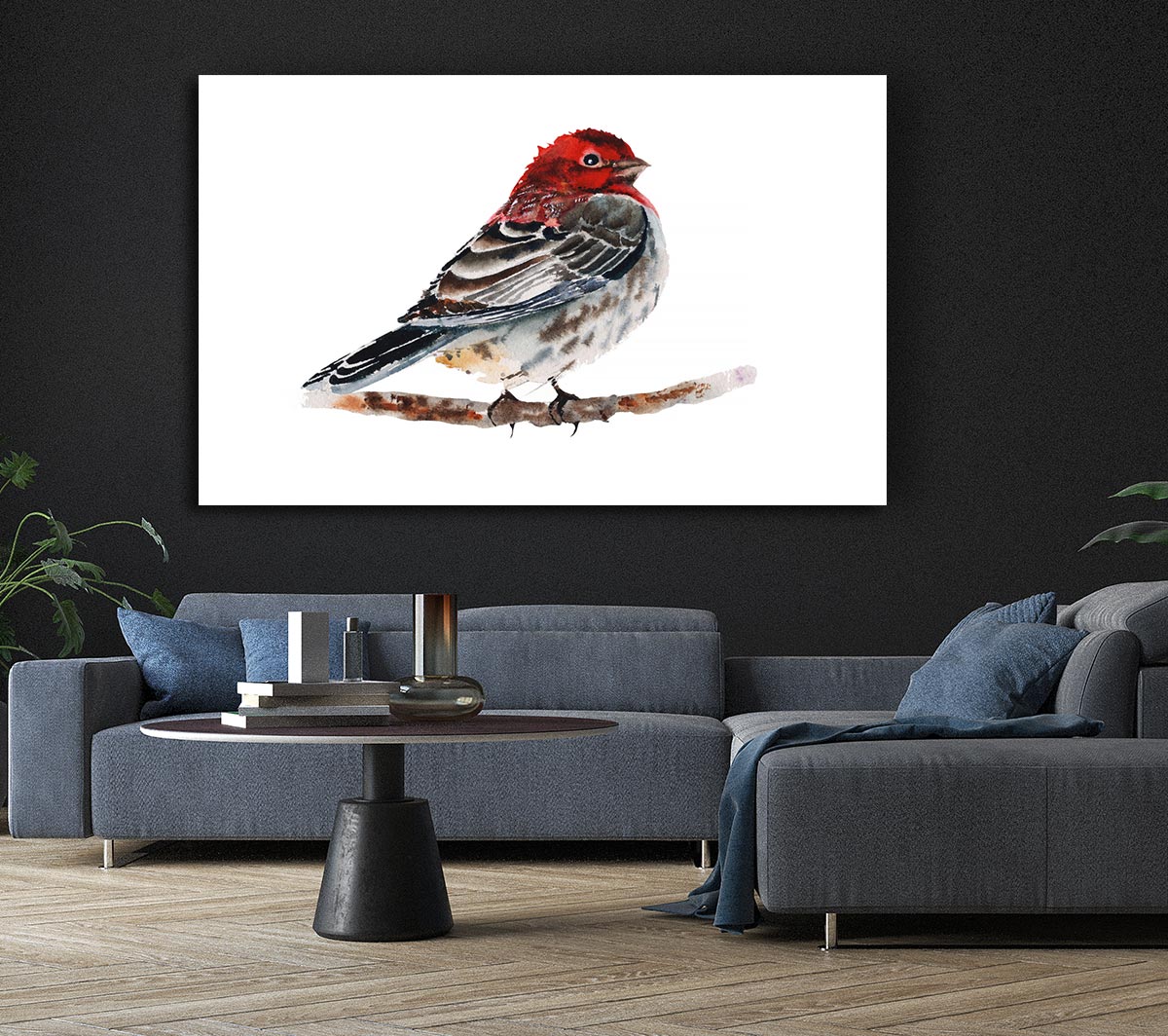 Red Finch