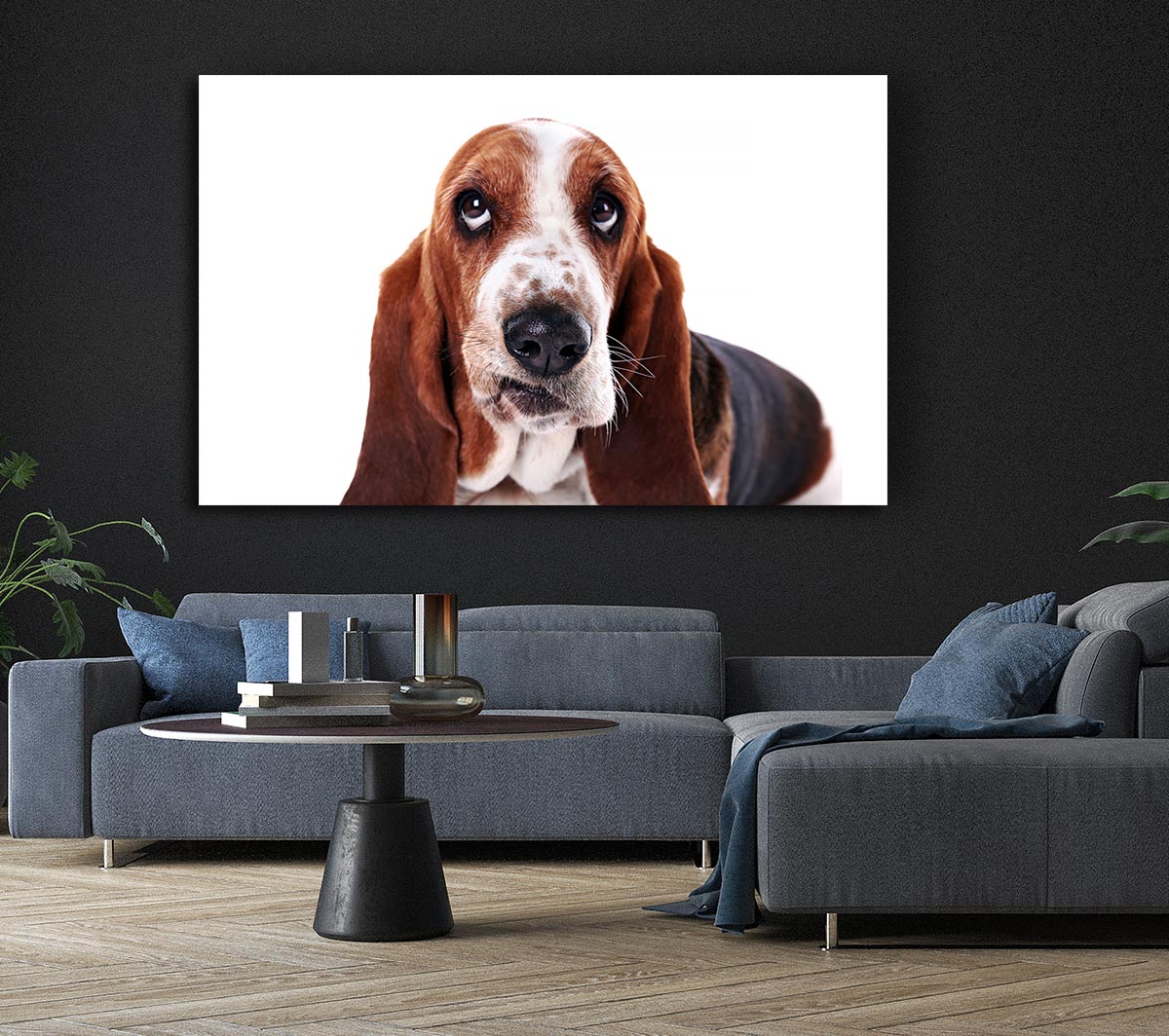 Basset Hound Look