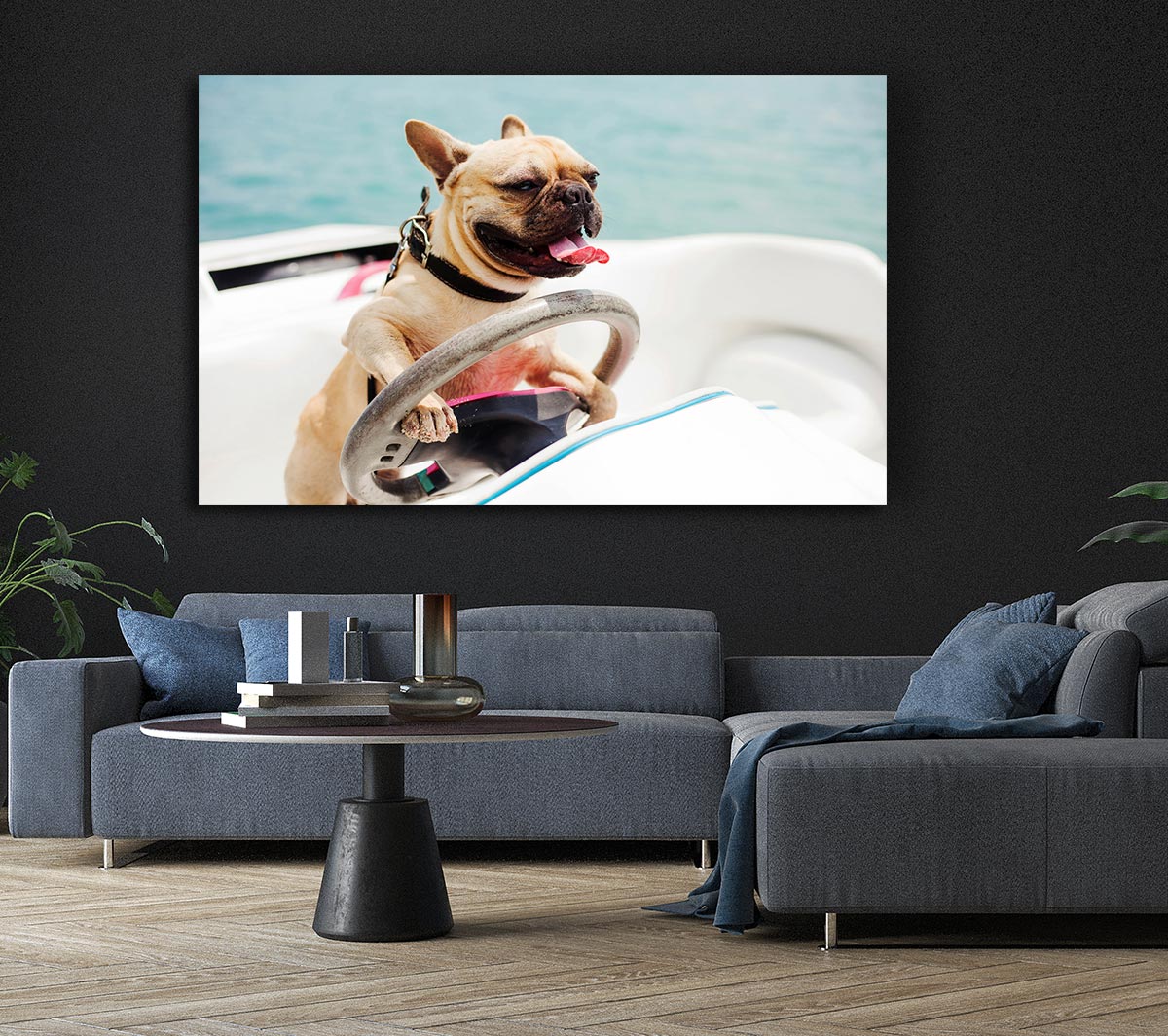 Speed boat French bulldog