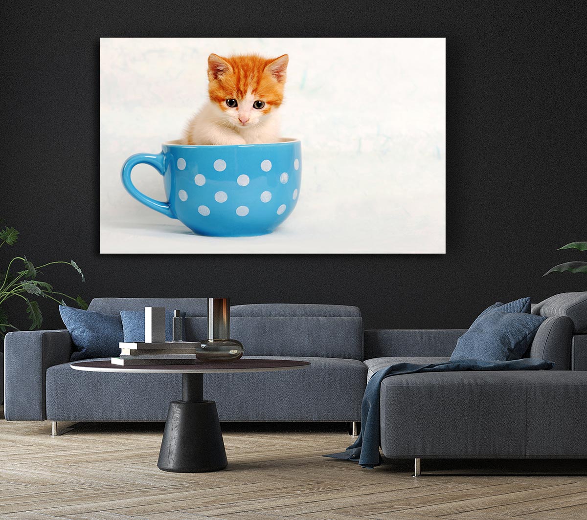 Tea Cup Kitten Cat