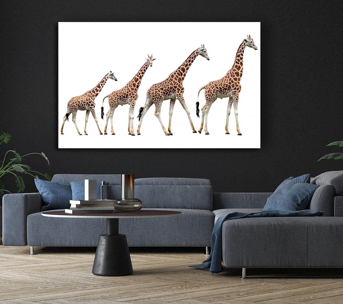 Giraffe Lineup