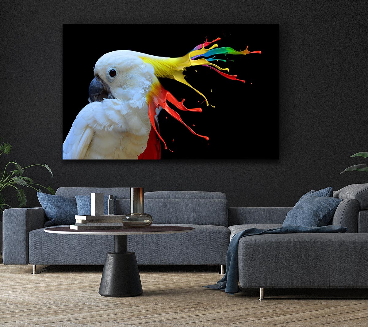 cockatoo colour splash