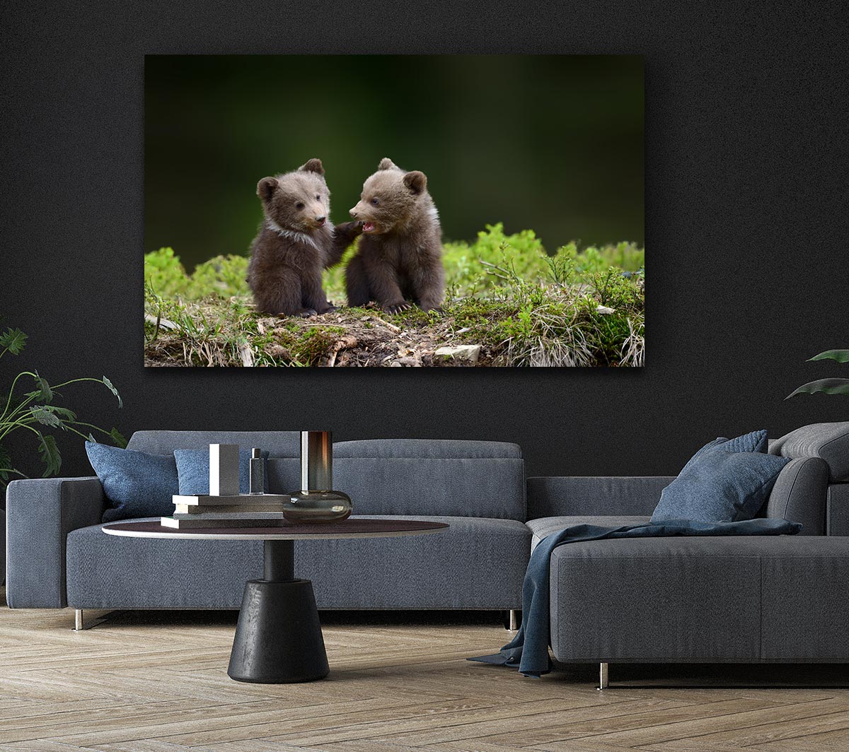 Two bear cubs playing