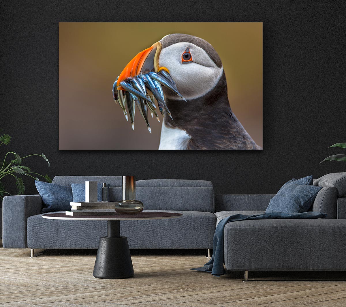 Puffin with a mouthall of fish