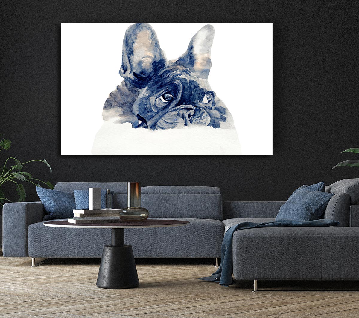 Cute French Bulldog