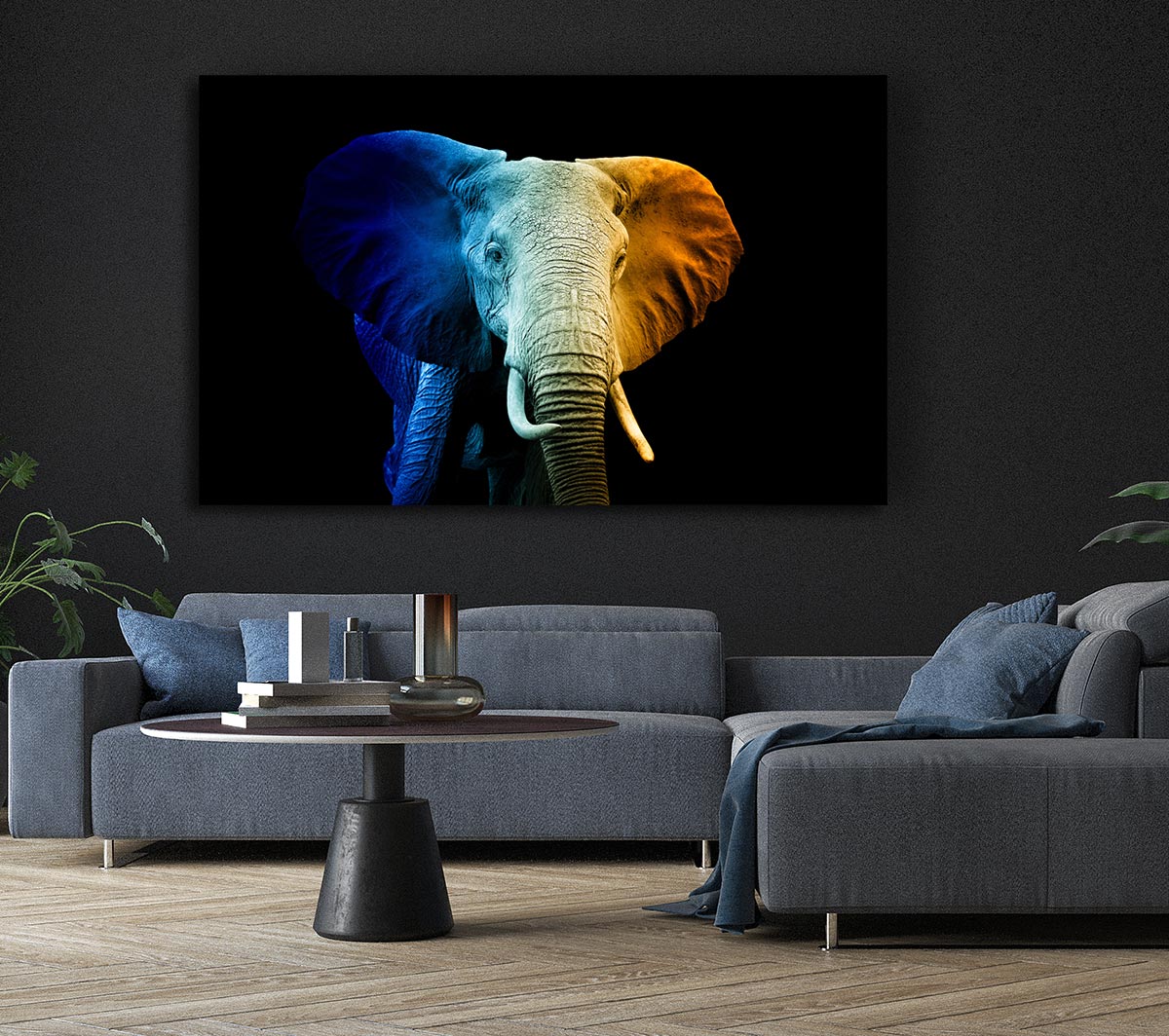 Tri Coloured Elephant