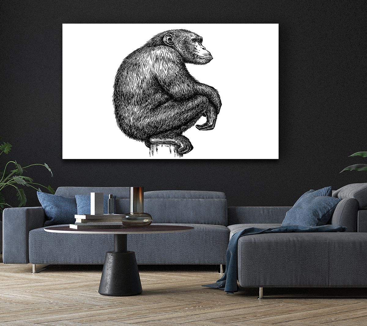 Chimpanzee Sitting