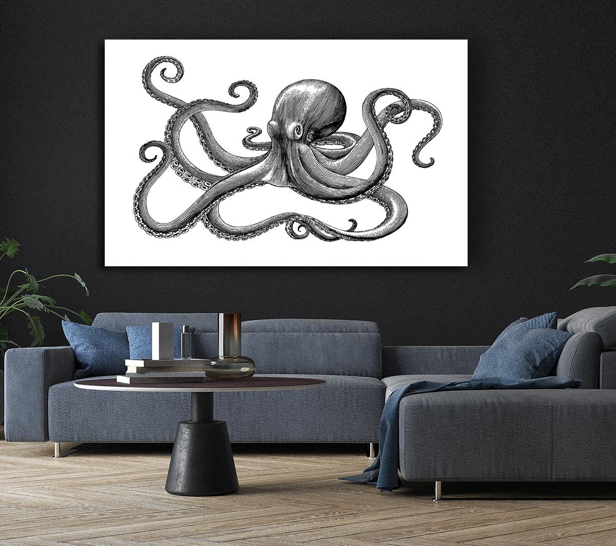 Octopus Illustration