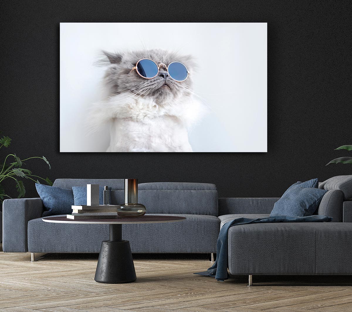 The Cat In Glasses