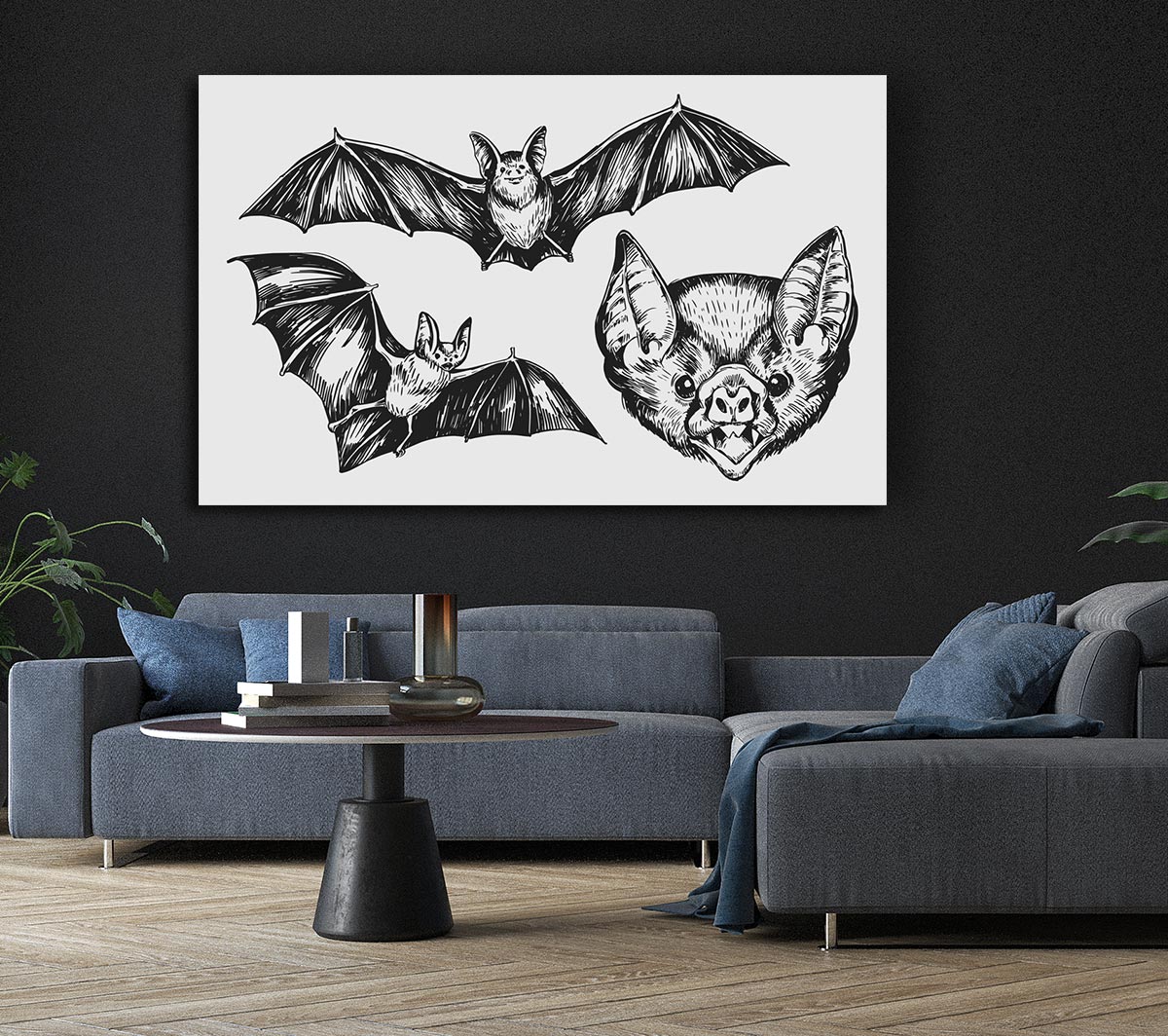 The Trio Of Bat Illustrations