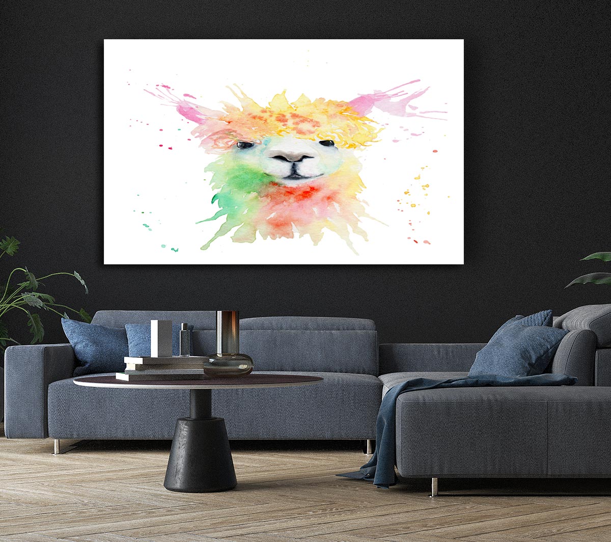 Splatter Colour Alpaca