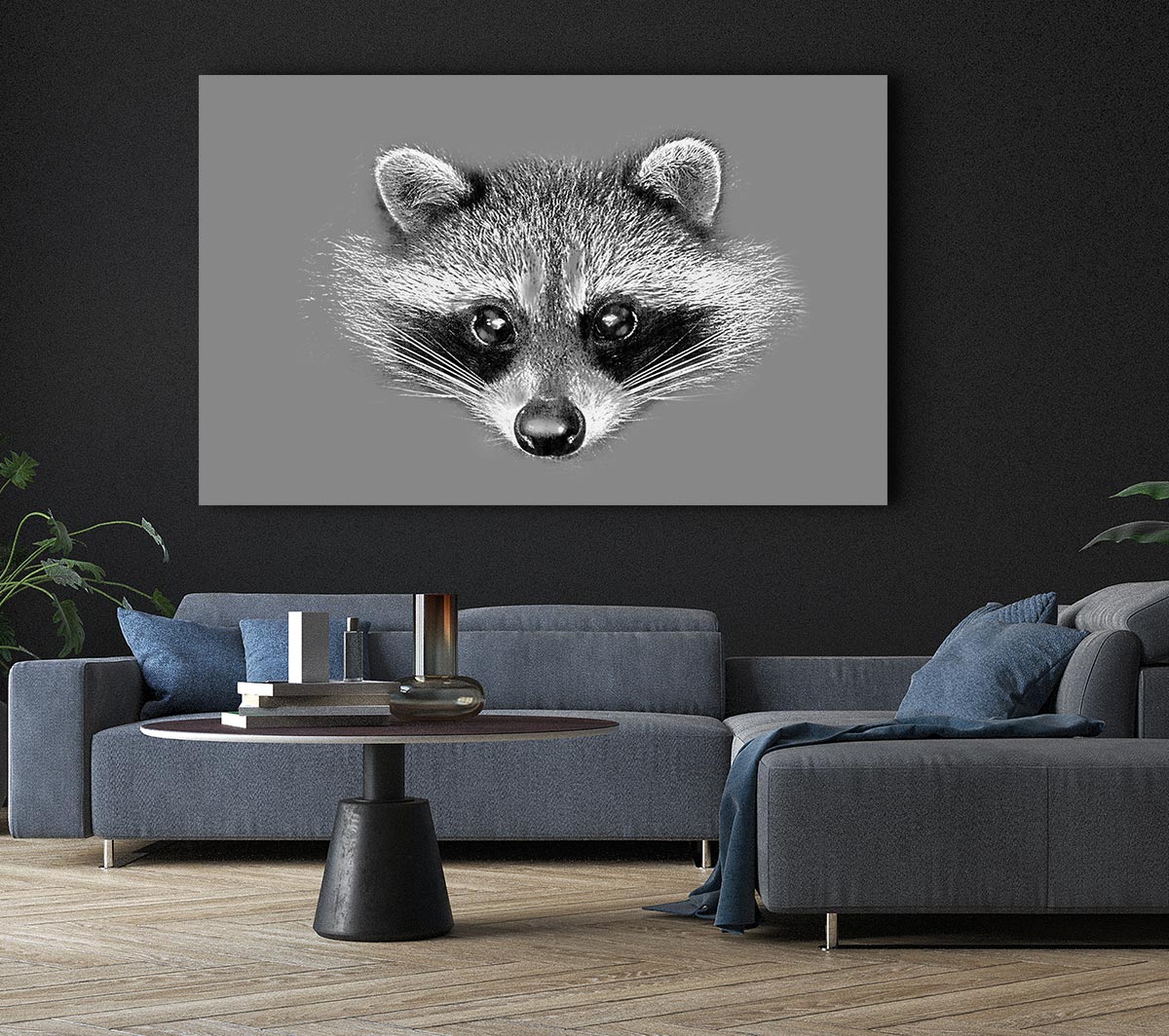 Raccoon On Grey