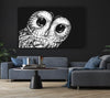 The Big Eyed Owl