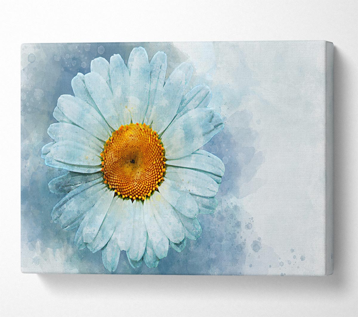 Watercolour Daisy Beauty