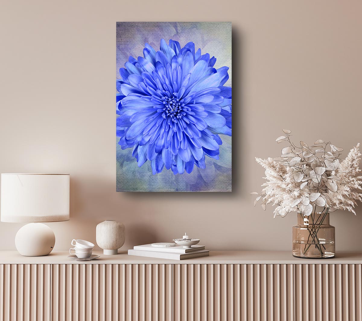 Beautiful Blue Centered Flower