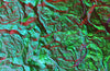 3D Tapeta M12054-M